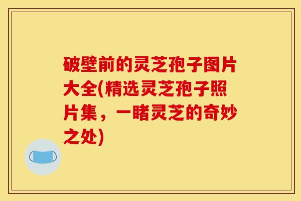 破壁前的灵芝孢子图片大全(精选灵芝孢子照片集,一睹灵芝的奇妙之处) 破壁前的灵芝孢子图片大全(精选灵芝孢子照片集,一睹灵芝的奇妙之处)