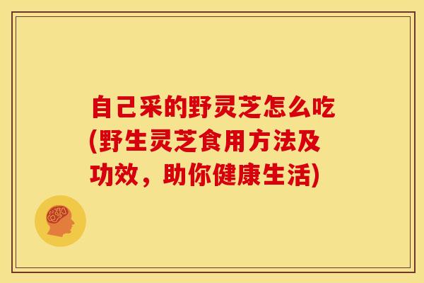 自己采的野灵芝怎么吃(野生灵芝食用方法及功效，助你健康生活)