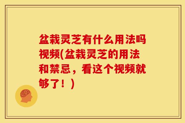 盆栽灵芝有什么用法吗视频(盆栽灵芝的用法和禁忌,看这个视频就够了!) 盆栽灵芝有什么用法吗视频(盆栽灵芝的用法和禁忌,看这个视频就够了!)