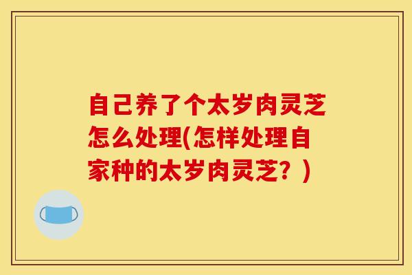 自己养了个太岁肉灵芝怎么处理(怎样处理自家种的太岁肉灵芝?) 自己养了个太岁肉灵芝怎么处理(怎样处理自家种的太岁肉灵芝?)