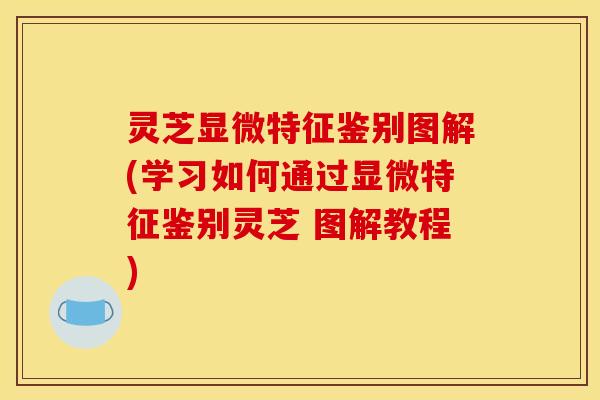 灵芝显微特征鉴别图解(学习如何通过显微特征鉴别灵芝 图解教程) 灵芝显微特征鉴别图解(学习如何通过显微特征鉴别灵芝 图解教程)