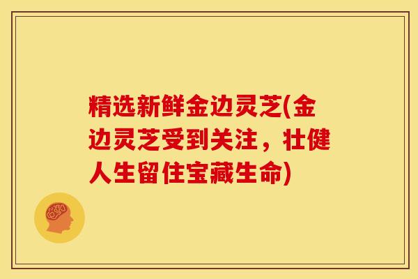 精选新鲜金边灵芝(金边灵芝受到关注,壮健人生留住宝藏生命) 精选新鲜金边灵芝(金边灵芝受到关注,壮健人生留住宝藏生命)