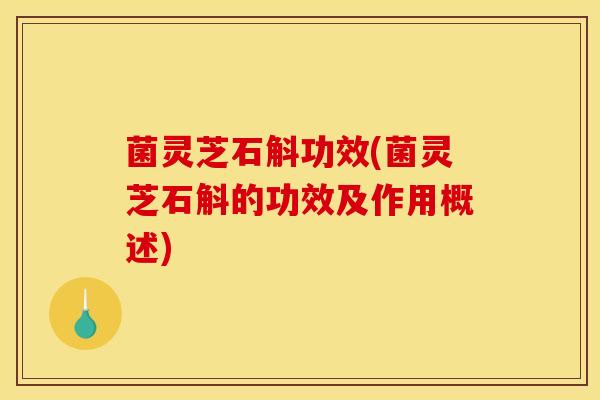 菌灵芝石斛功效(菌灵芝石斛的功效及作用概述)