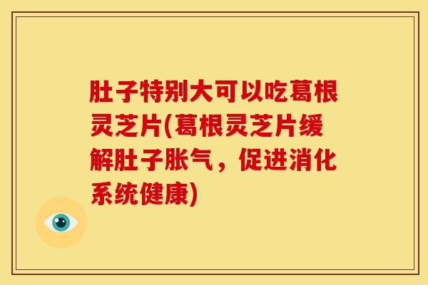 肚子特别大可以吃葛根灵芝片(葛根灵芝片缓解肚子胀气，促进消化系统健康)