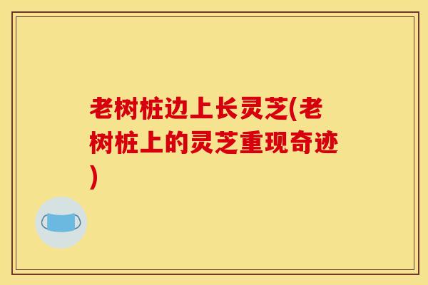 老树桩边上长灵芝(老树桩上的灵芝重现奇迹) 老树桩边上长灵芝(老树桩上的灵芝重现奇迹)