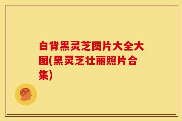 白背黑灵芝图片大全大图(黑灵芝壮丽照片合集) 白背黑灵芝图片大全大图(黑灵芝壮丽照片合集)