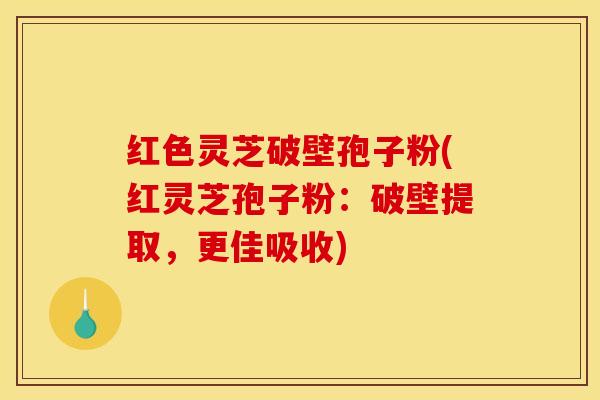 红色灵芝破壁孢子粉(红灵芝孢子粉:破壁提取,更佳吸收) 红色灵芝破壁孢子粉(红灵芝孢子粉:破壁提取,更佳吸收)