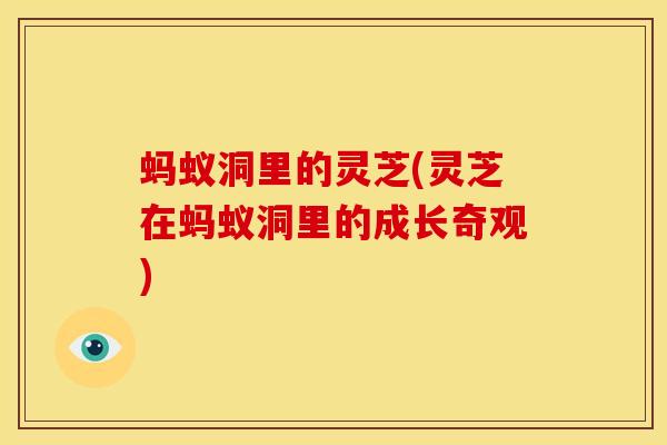 蚂蚁洞里的灵芝(灵芝在蚂蚁洞里的成长奇观) 蚂蚁洞里的灵芝(灵芝在蚂蚁洞里的成长奇观)