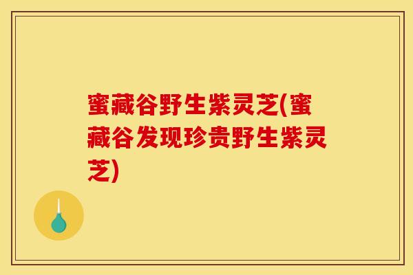 蜜藏谷野生紫灵芝(蜜藏谷发现珍贵野生紫灵芝) 蜜藏谷野生紫灵芝(蜜藏谷发现珍贵野生紫灵芝)