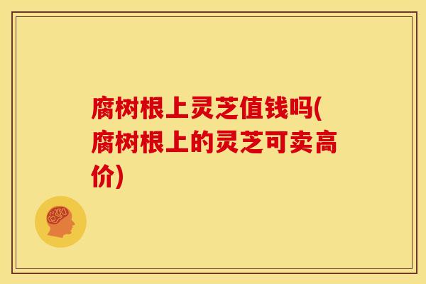 腐树根上灵芝值钱吗(腐树根上的灵芝可卖高价) 腐树根上灵芝值钱吗(腐树根上的灵芝可卖高价)