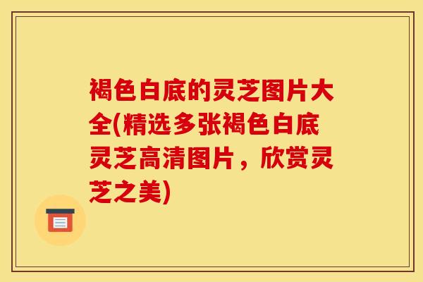 褐色白底的灵芝图片大全(精选多张褐色白底灵芝高清图片，欣赏灵芝之美)