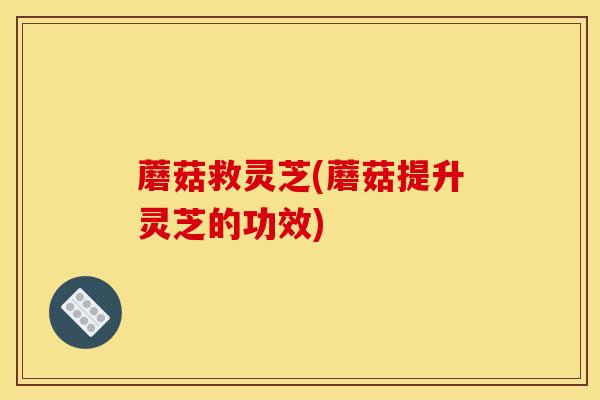 蘑菇救灵芝(蘑菇提升灵芝的功效) 蘑菇救灵芝(蘑菇提升灵芝的功效)