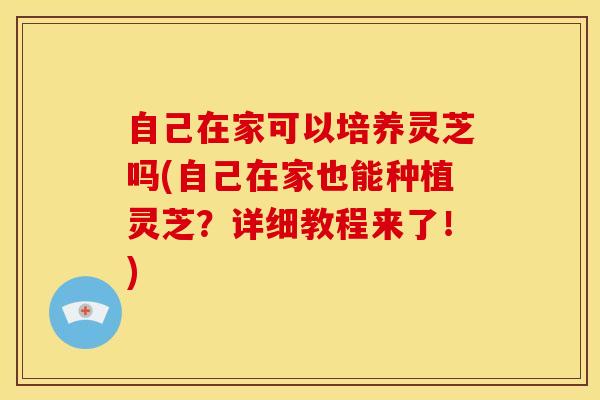 自己在家可以培养灵芝吗(自己在家也能种植灵芝?详细教程来了!) 自己在家可以培养灵芝吗(自己在家也能种植灵芝?详细教程来了!)