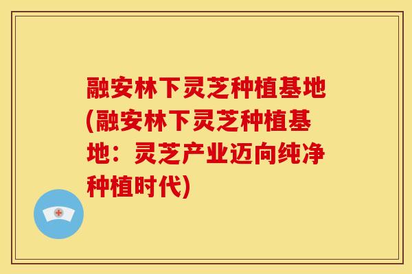 融安林下灵芝种植基地(融安林下灵芝种植基地：灵芝产业迈向纯净种植时代)