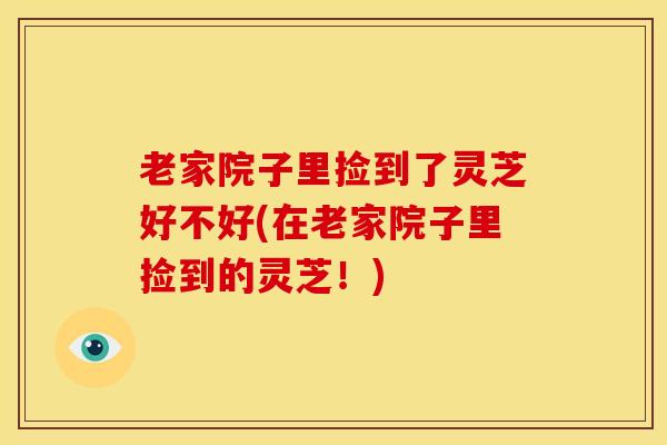 老家院子里捡到了灵芝好不好(在老家院子里捡到的灵芝!) 老家院子里捡到了灵芝好不好(在老家院子里捡到的灵芝!)
