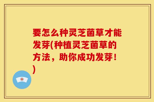 要怎么种灵芝菌草才能发芽(种植灵芝菌草的方法，助你成功发芽！)