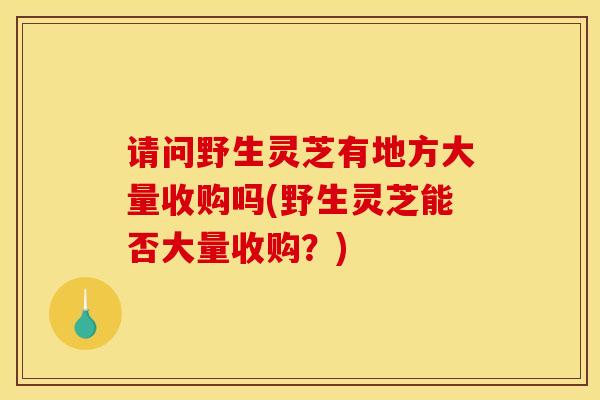 请问野生灵芝有地方大量收购吗(野生灵芝能否大量收购?) 请问野生灵芝有地方大量收购吗(野生灵芝能否大量收购?)