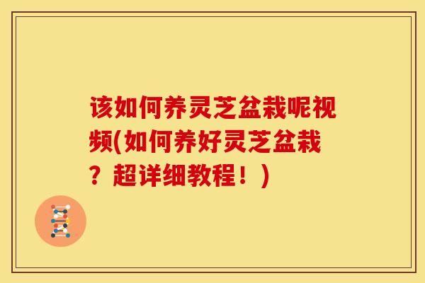 该如何养灵芝盆栽呢视频(如何养好灵芝盆栽?超详细教程!) 该如何养灵芝盆栽呢视频(如何养好灵芝盆栽?超详细教程!)