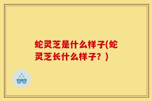 蛇灵芝是什么样子(蛇灵芝长什么样子？)