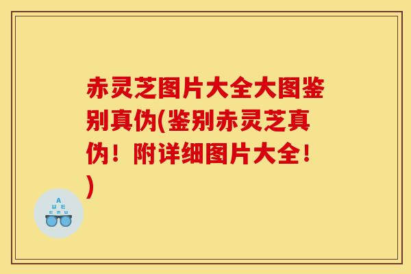 赤灵芝图片大全大图鉴别真伪(鉴别赤灵芝真伪!附详细图片大全!) 赤灵芝图片大全大图鉴别真伪(鉴别赤灵芝真伪!附详细图片大全!)