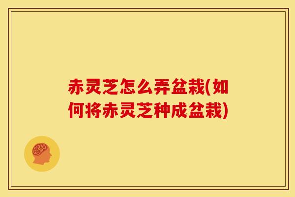 赤灵芝怎么弄盆栽(如何将赤灵芝种成盆栽) 赤灵芝怎么弄盆栽(如何将赤灵芝种成盆栽)