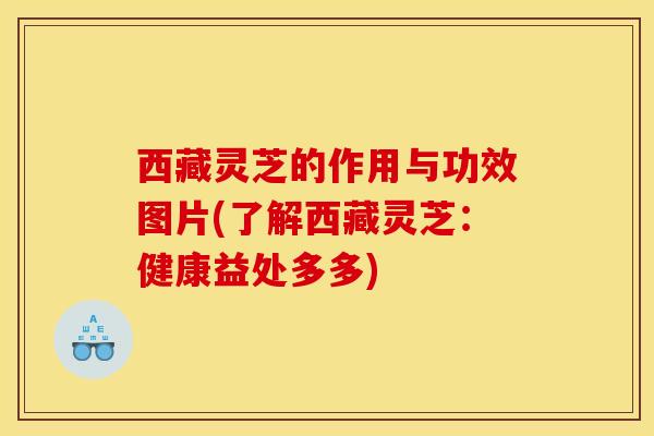 西藏灵芝的作用与功效图片(了解西藏灵芝:健康益处多多) 西藏灵芝的作用与功效图片(了解西藏灵芝:健康益处多多)