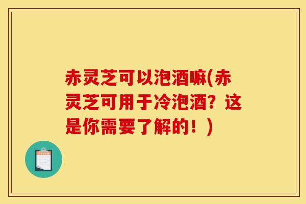 赤灵芝可以泡酒嘛(赤灵芝可用于冷泡酒?这是你需要了解的!) 赤灵芝可以泡酒嘛(赤灵芝可用于冷泡酒?这是你需要了解的!)