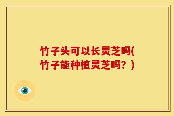 竹子头可以长灵芝吗(竹子能种植灵芝吗？)