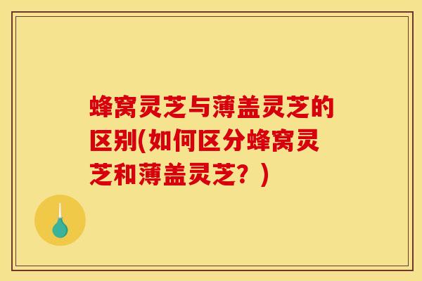 蜂窝灵芝与薄盖灵芝的区别(如何区分蜂窝灵芝和薄盖灵芝?) 蜂窝灵芝与薄盖灵芝的区别(如何区分蜂窝灵芝和薄盖灵芝?)