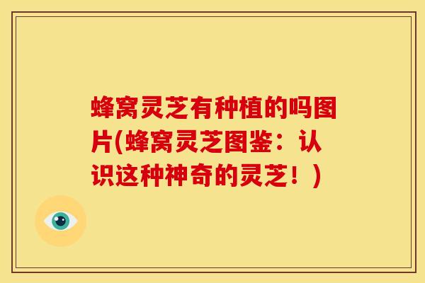 蜂窝灵芝有种植的吗图片(蜂窝灵芝图鉴:认识这种神奇的灵芝!) 蜂窝灵芝有种植的吗图片(蜂窝灵芝图鉴:认识这种神奇的灵芝!)