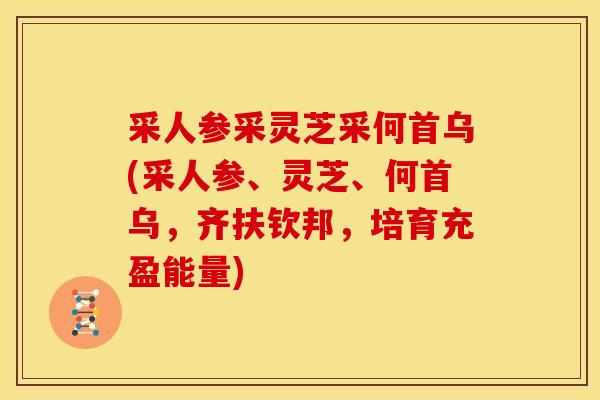 采人参采灵芝采何首乌(采人参、灵芝、何首乌,齐扶钦邦,培育充盈能量) 采人参采灵芝采何首乌(采人参、灵芝、何首乌,齐扶钦邦,培育充盈能量)