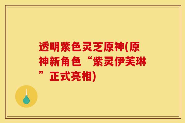 透明紫色灵芝原神(原神新角色“紫灵伊芙琳”正式亮相) 透明紫色灵芝原神(原神新角色“紫灵伊芙琳”正式亮相)