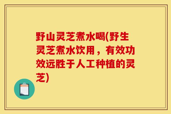 野山灵芝煮水喝(野生灵芝煮水饮用，有效功效远胜于人工种植的灵芝)