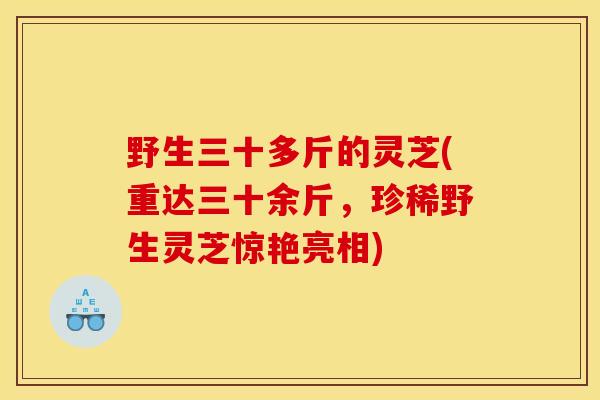 野生三十多斤的灵芝(重达三十余斤,珍稀野生灵芝惊艳亮相) 野生三十多斤的灵芝(重达三十余斤,珍稀野生灵芝惊艳亮相)