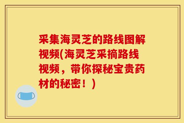 采集海灵芝的路线图解视频(海灵芝采摘路线视频,带你探秘宝贵药材的秘密!) 采集海灵芝的路线图解视频(海灵芝采摘路线视频,带你探秘宝贵药材的秘密!)