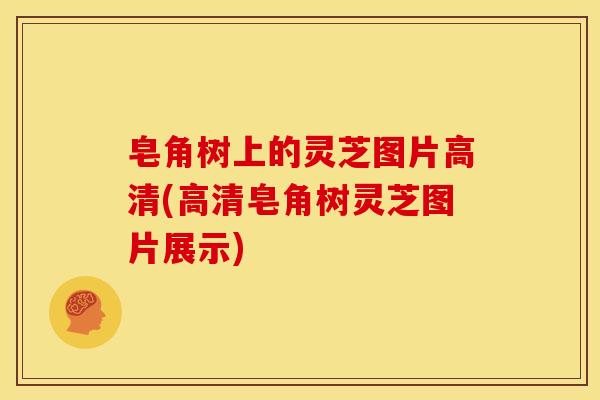 皂角树上的灵芝图片高清(高清皂角树灵芝图片展示)
