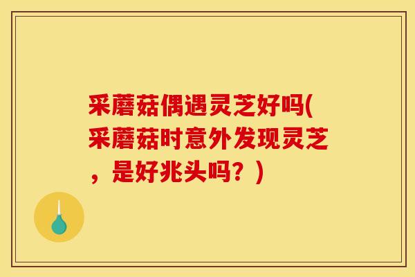 采蘑菇偶遇灵芝好吗(采蘑菇时意外发现灵芝,是好兆头吗?) 采蘑菇偶遇灵芝好吗(采蘑菇时意外发现灵芝,是好兆头吗?)