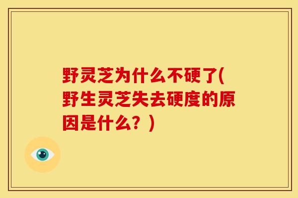 野灵芝为什么不硬了(野生灵芝失去硬度的原因是什么？)