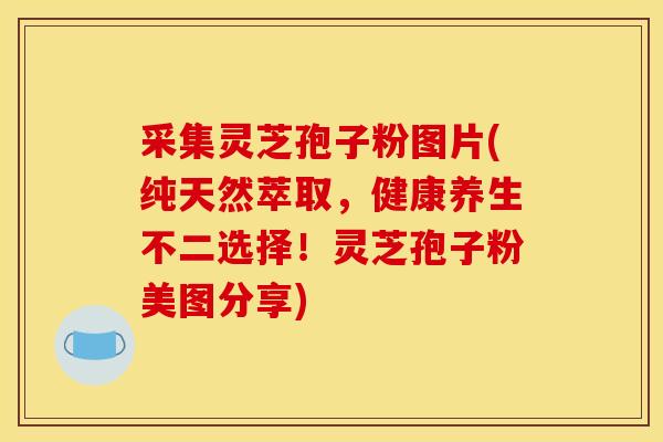 采集灵芝孢子粉图片(纯天然萃取,健康养生不二选择!灵芝孢子粉美图分享) 采集灵芝孢子粉图片(纯天然萃取,健康养生不二选择!灵芝孢子粉美图分享)