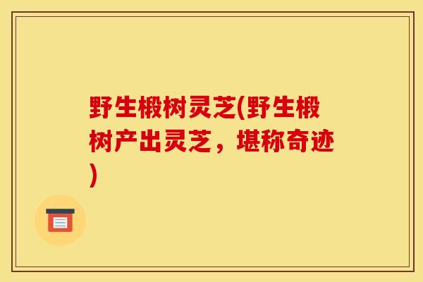 野生椴树灵芝(野生椴树产出灵芝,堪称奇迹) 野生椴树灵芝(野生椴树产出灵芝,堪称奇迹)