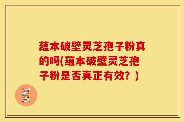 蕴本破壁灵芝孢子粉真的吗(蕴本破壁灵芝孢子粉是否真正有效?) 蕴本破壁灵芝孢子粉真的吗(蕴本破壁灵芝孢子粉是否真正有效?)