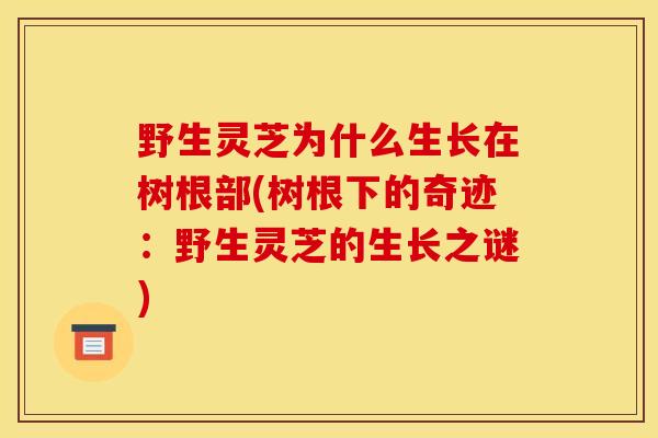 野生灵芝为什么生长在树根部(树根下的奇迹:野生灵芝的生长之谜) 野生灵芝为什么生长在树根部(树根下的奇迹:野生灵芝的生长之谜)