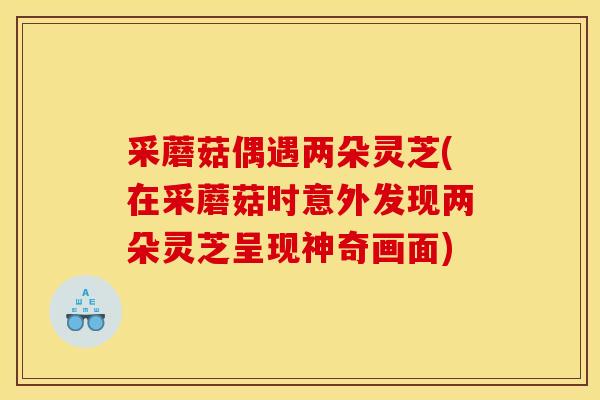 采蘑菇偶遇两朵灵芝(在采蘑菇时意外发现两朵灵芝呈现神奇画面) 采蘑菇偶遇两朵灵芝(在采蘑菇时意外发现两朵灵芝呈现神奇画面)