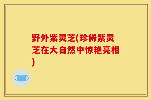 野外紫灵芝(珍稀紫灵芝在大自然中惊艳亮相) 野外紫灵芝(珍稀紫灵芝在大自然中惊艳亮相)