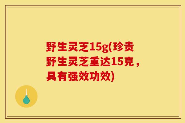 野生灵芝15g(珍贵野生灵芝重达15克,具有强效功效) 野生灵芝15g(珍贵野生灵芝重达15克,具有强效功效)
