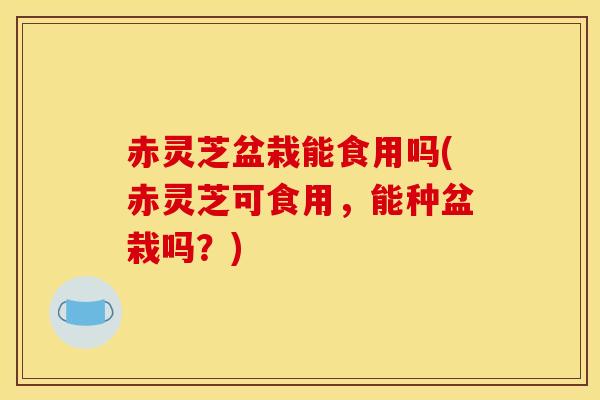 赤灵芝盆栽能食用吗(赤灵芝可食用,能种盆栽吗?) 赤灵芝盆栽能食用吗(赤灵芝可食用,能种盆栽吗?)
