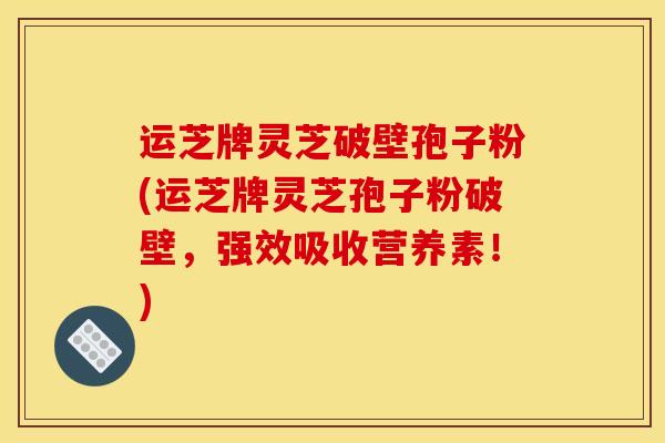 运芝牌灵芝破壁孢子粉(运芝牌灵芝孢子粉破壁,强效吸收营养素!) 运芝牌灵芝破壁孢子粉(运芝牌灵芝孢子粉破壁,强效吸收营养素!)