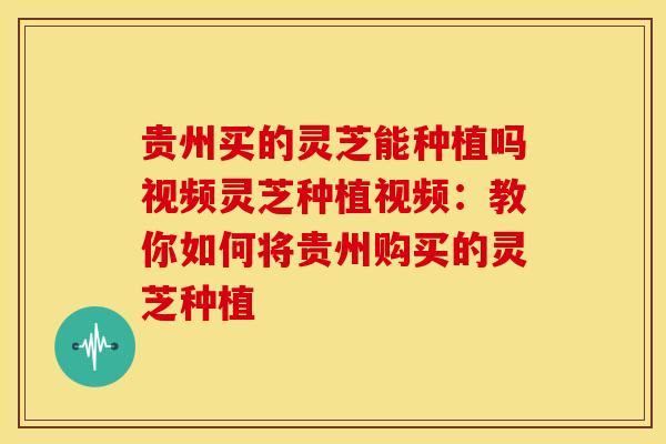 贵州买的灵芝能种植吗视频灵芝种植视频：教你如何将贵州购买的灵芝种植