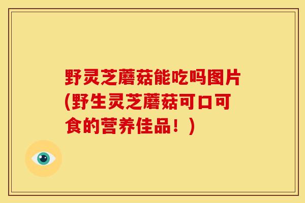 野灵芝蘑菇能吃吗图片(野生灵芝蘑菇可口可食的营养佳品!) 野灵芝蘑菇能吃吗图片(野生灵芝蘑菇可口可食的营养佳品!)