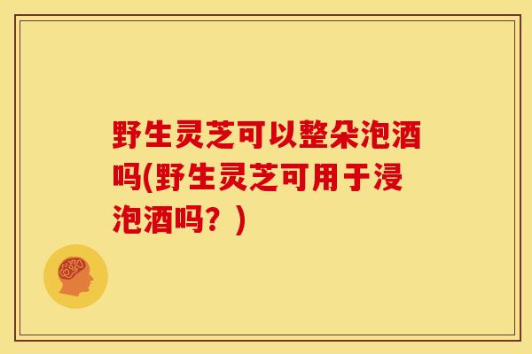 野生灵芝可以整朵泡酒吗(野生灵芝可用于浸泡酒吗?) 野生灵芝可以整朵泡酒吗(野生灵芝可用于浸泡酒吗?)